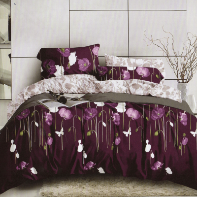 Lenjerie de pat bumbac Elvo – 4 piese | 2495-R