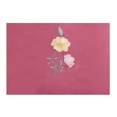 Lenjerie de pat bumbac finet gros Premium – 6 piese | 11977-PR