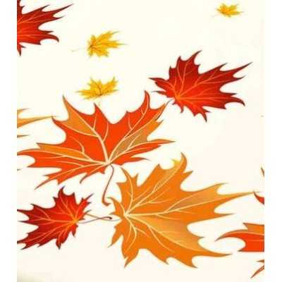 Husa de pat finet Premium – 3 piese | 15614-PR