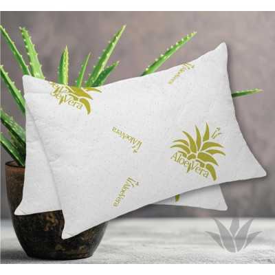 Perna Aloe Vera | 16450-R