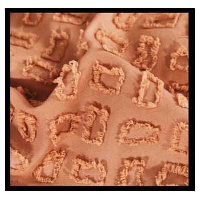 Lenjerie de pat bumbac Brodat cu Smocuri – 6 piese | 7096-VH